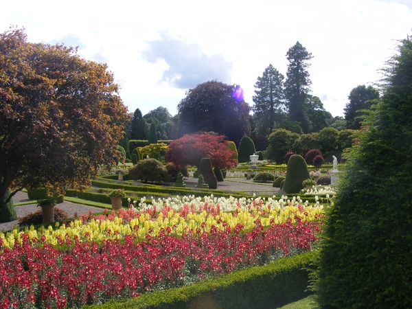 miss marie's miscellany: Terrific topiary