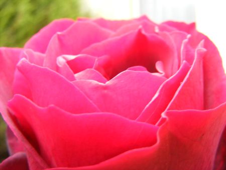 DSCF5228